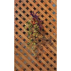 S. M. Fawad, 24 x 42 Inch, Oil on Canvas, Realistic Painting, AC-SMF-268 S. M. Fawad, 24 x 42 Inch, Oil on Canvas, Realistic Painting, AC-SMF-268